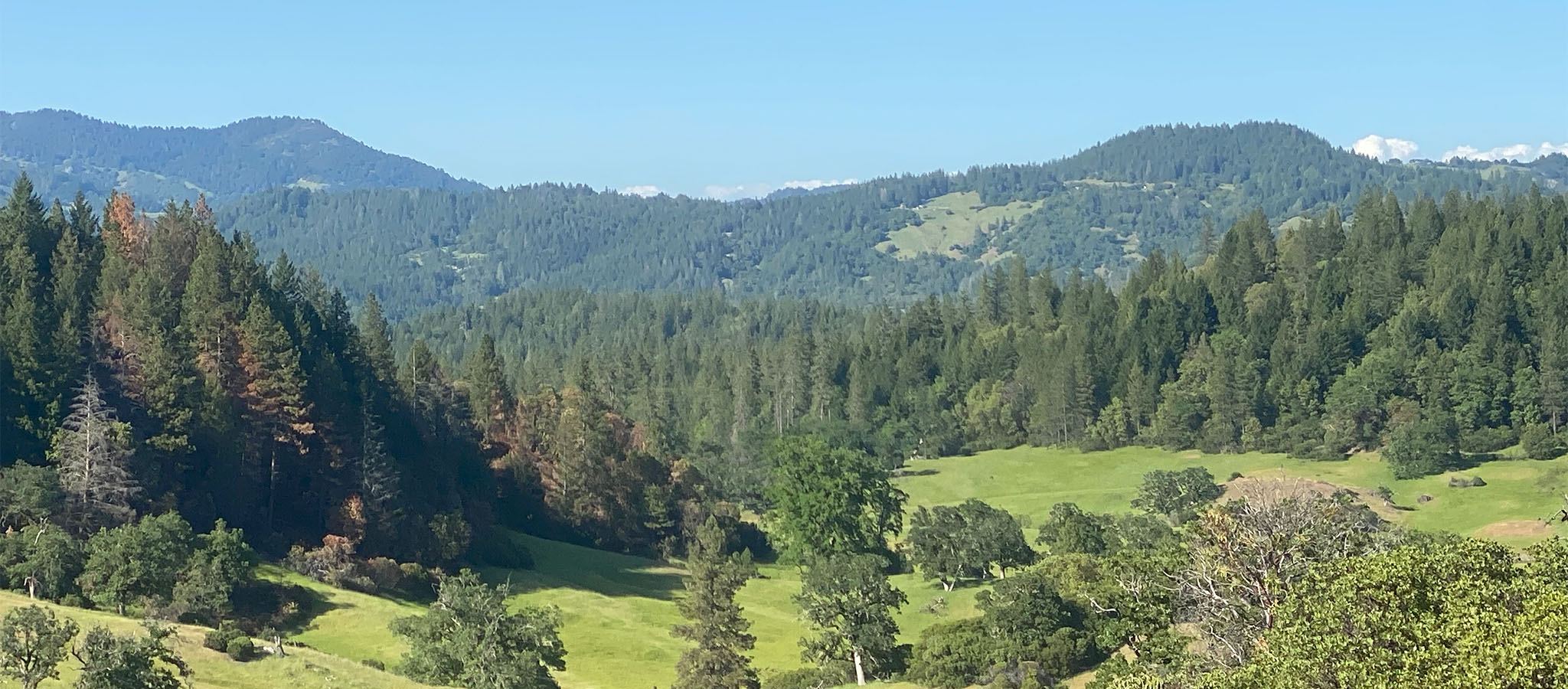 Laytonville, CA